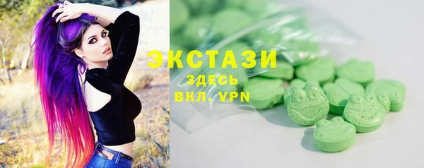 apvp Гусев