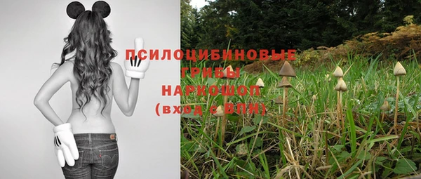 apvp Гусев