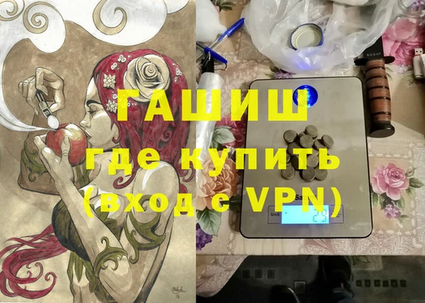 индика Горняк