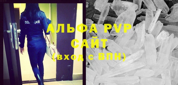 apvp Гусев